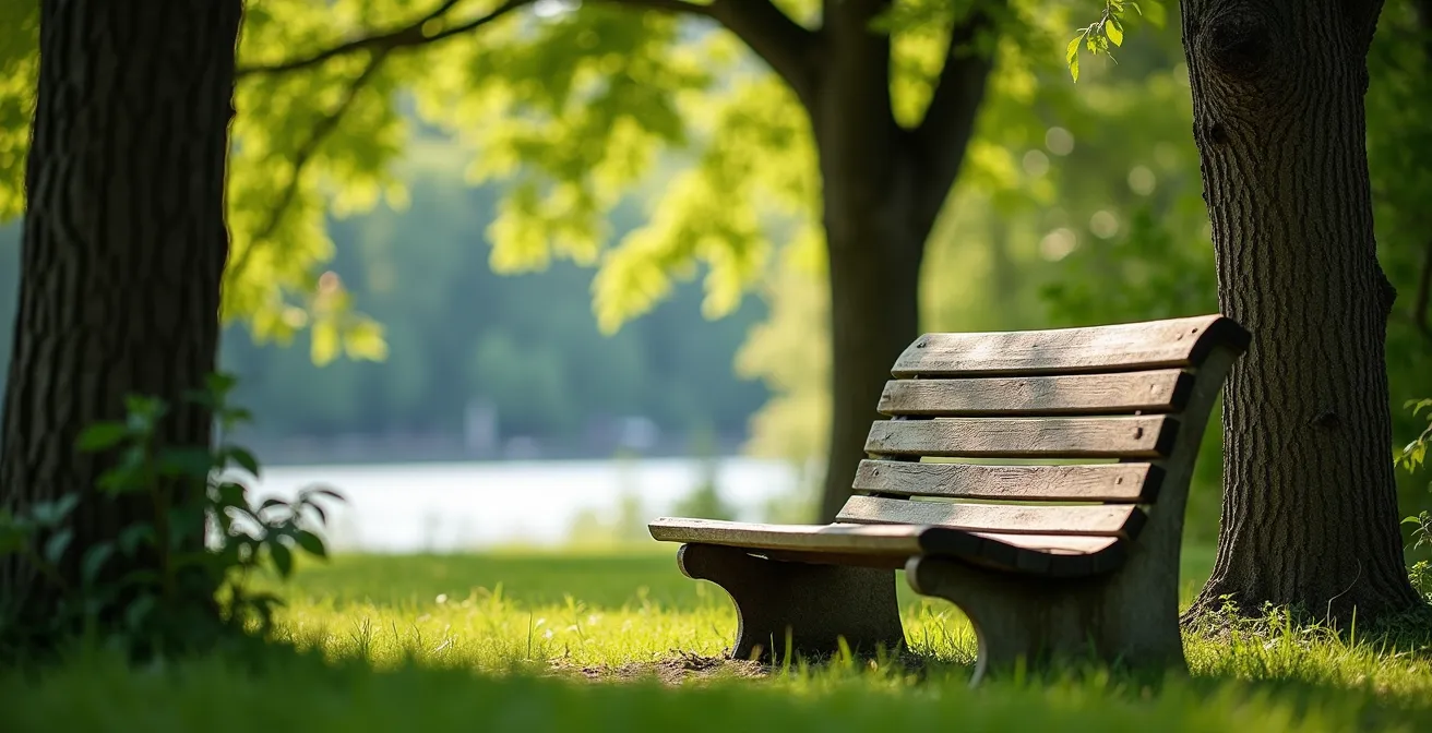 Secluded bench overlooking Ottawa River in Major's Hill Park